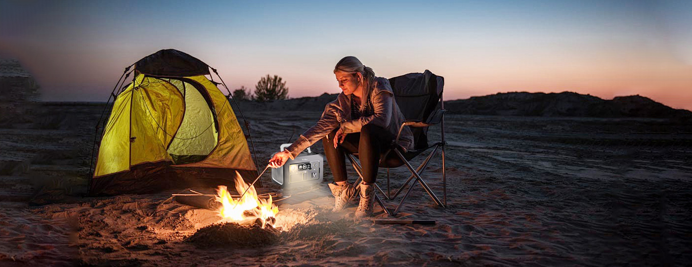 Portable Power Station P300|300W