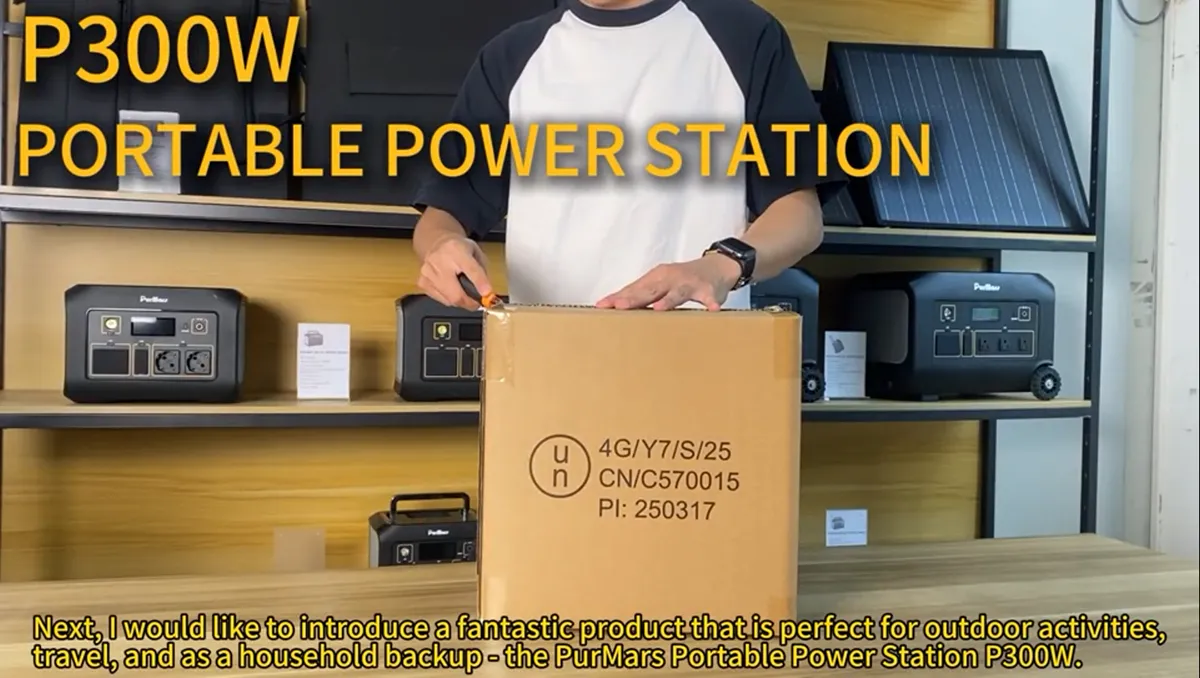 Energía portátil para exterior P300A/E|300W