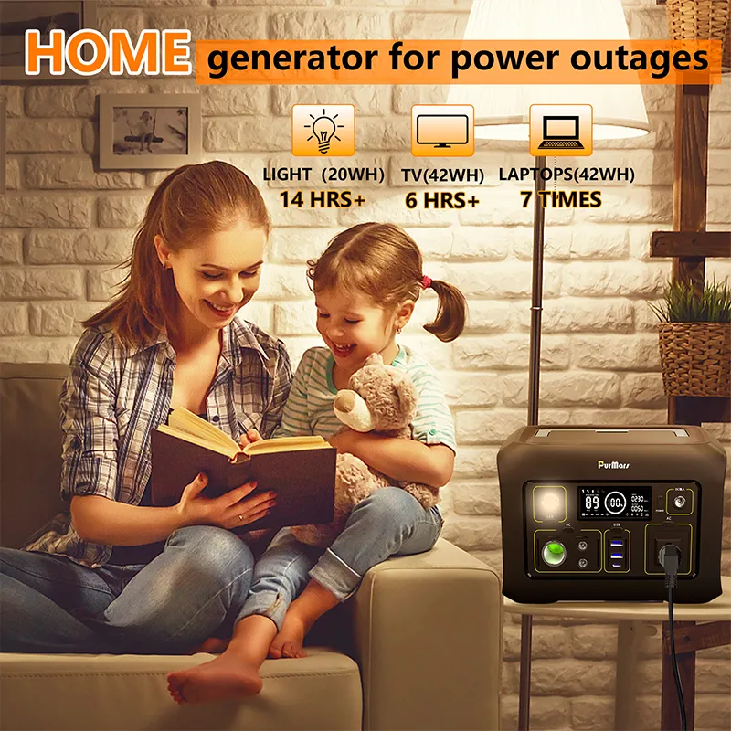 Energía portátil para exterior P300A/E|300W