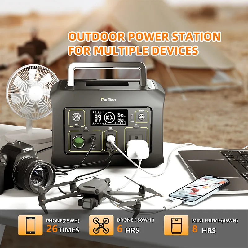 Energía portátil para exterior P300A/E|300W