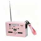 purmars Pink 100W Power Bank